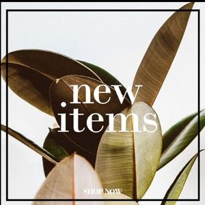 Shop My New Items